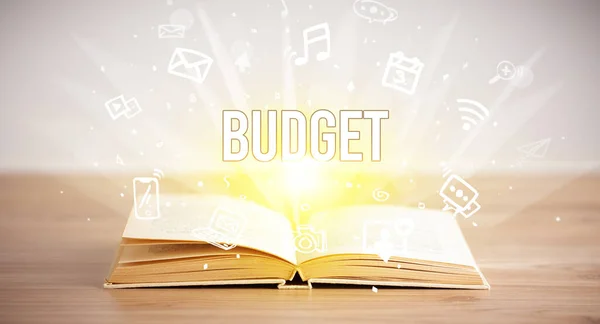 Opeen Könyv Budget Felirattal Üzleti Koncepció — Stock Fotó