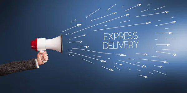 Mladá Dívka Křičí Megafon Nápisem Express Delivery Nákupní Koncept — Stock fotografie