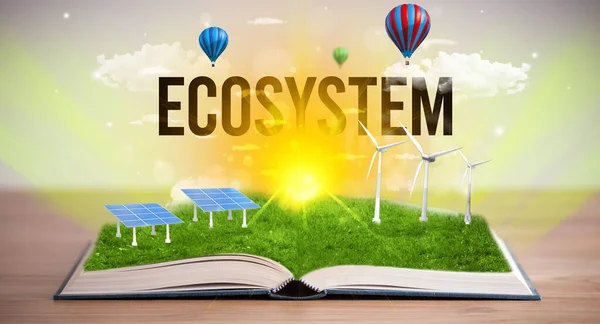 Libro Abierto Con Inscripción Ecosystem Concepto Energía Renovable —  Fotos de Stock