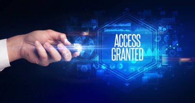 ACCESS GRANTED yazıtlı, siber güvenlik kavramına sahip kablosuz çevre.