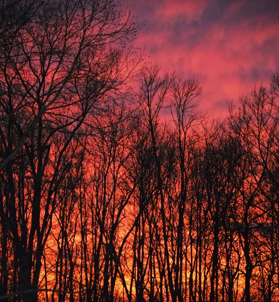 Feuer am Himmel — Stockfoto