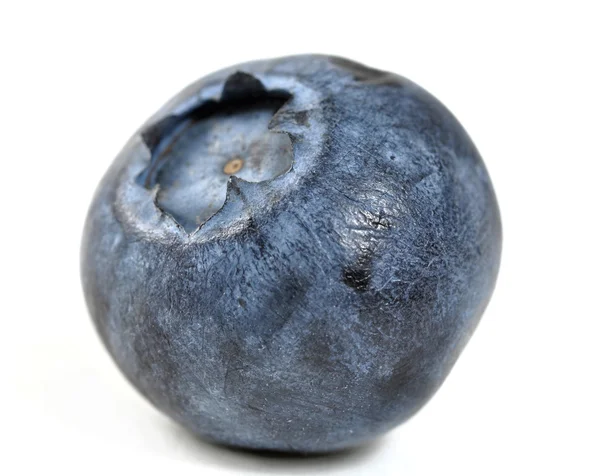 Blueberry — Stock Photo, Image