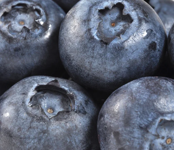 Blueberries Stock Image