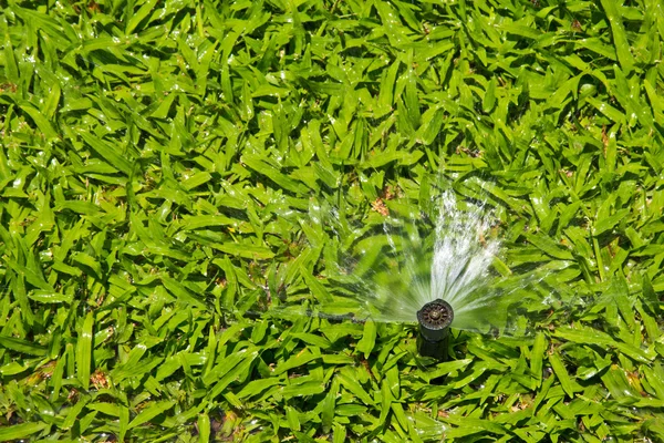 Sprinkler — Stockfoto