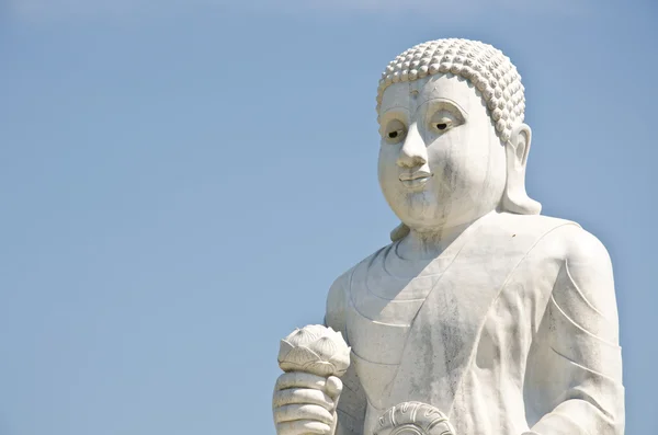Buda görüntü