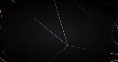Siyah arka planda altın çizgileri olan soyut lüks arka plan. Altın çokgen rastgele ağ parlatıcı tasarımı. Birinci sınıf animasyon afişi. Modern kusursuz döngülü animasyon. Koyu kraliyet BG