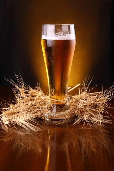 Glass of beer with barley ears — Stock Photo, Image