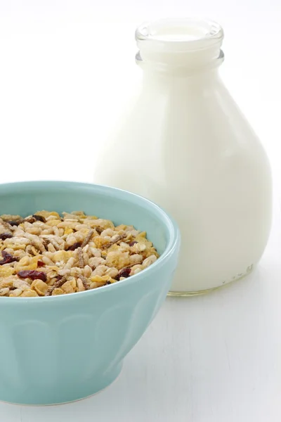 Leckeres und gesundes Müsli mit frischer Milch — Stockfoto