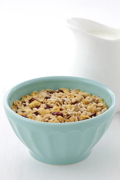 Läckra och hälsosamma müsli med färsk mjölk — Stockfoto