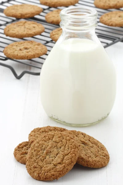 Färsk mjölk och havregryn kakor — Stockfoto