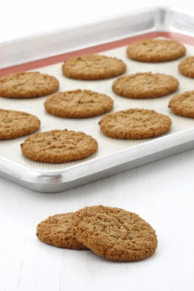 Fresh baked oatmeal cookies — Stock Photo, Image