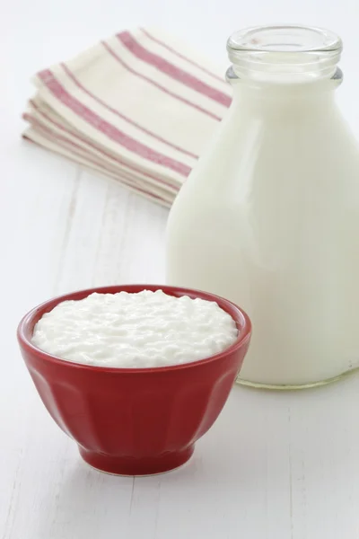 Delicious healthy milk and cottage cheese — Stock Photo, Image