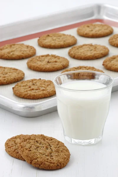 Fresh baked oatmeal cookies — Stock Photo, Image