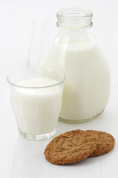 Fresh milk and oatmeal cookies — Stock Photo, Image