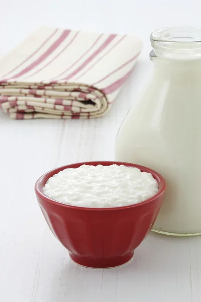 Delicious healthy milk and cottage cheese — Stock Photo, Image