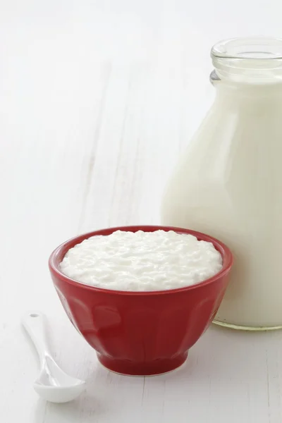 Delicious healthy milk and cottage cheese — Stock Photo, Image