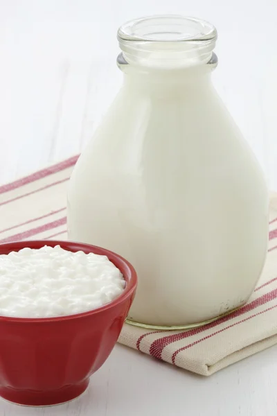 Lahodné zdravé mléko a tvaroh — Stock fotografie