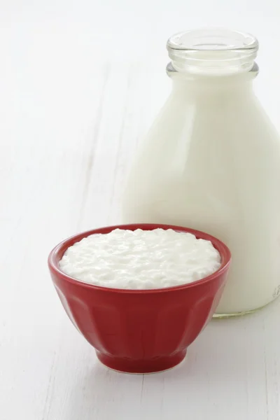 Delicious healthy milk and cottage cheese — Stock Photo, Image