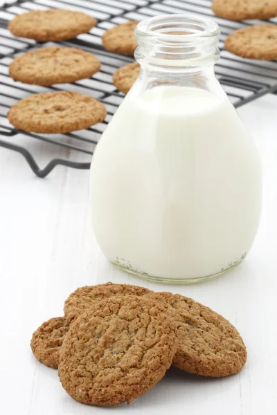 Färsk mjölk och havregryn kakor — Stockfoto