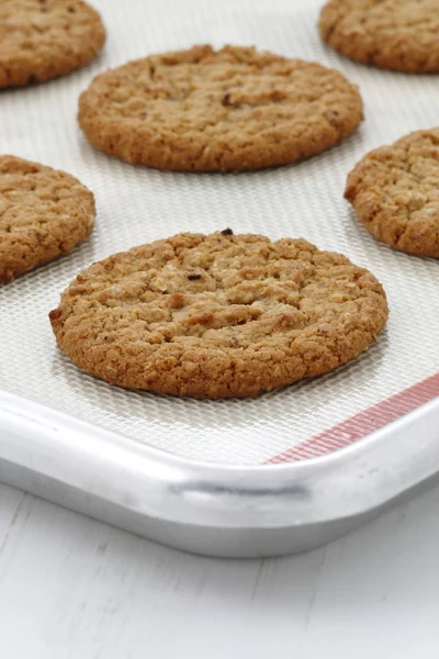 Frisk bagt havregryn cookies - Stock-foto