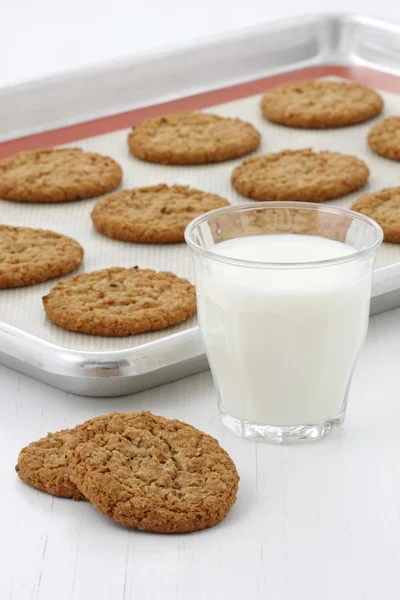 Fresh baked oatmeal cookies — Stock Photo, Image