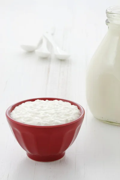 Leckere gesunde Milch und Quark — Stockfoto