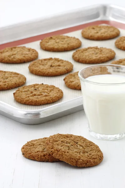 Fresh baked oatmeal cookies — Stock Photo, Image