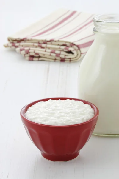 Delicious healthy milk and cottage cheese — Stock Photo, Image