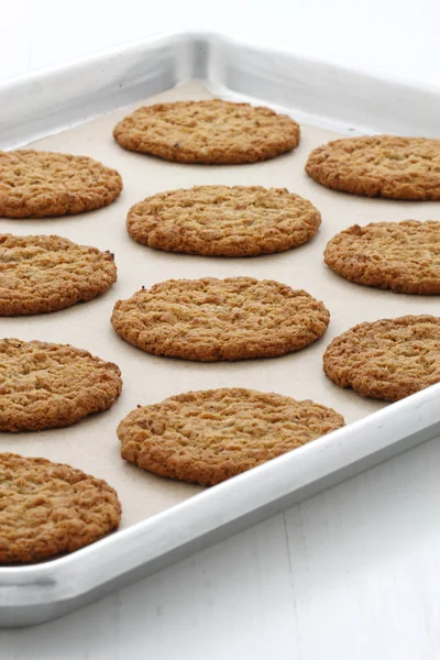 Čerstvé pečené ovesné sušenky — Stock fotografie