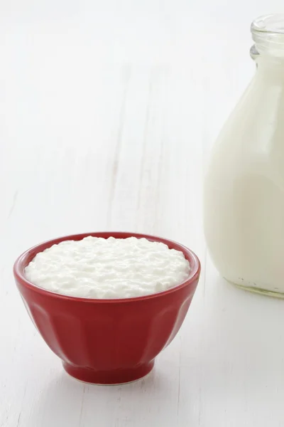 Delicious healthy milk and cottage cheese — Stock Photo, Image