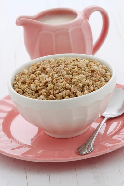 Croustillant muesli saudável — Fotografia de Stock