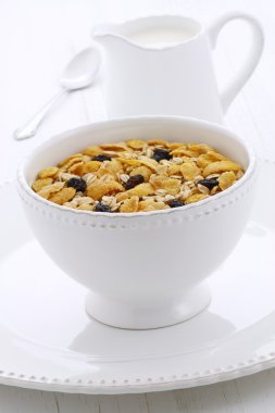 lezzetli ve sağlıklı müsli tahıl