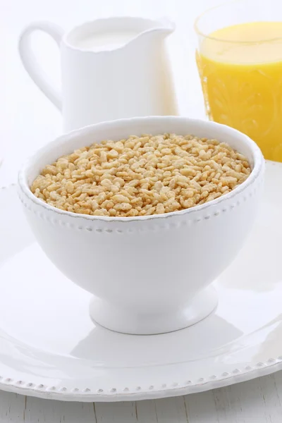 Delicious and healthy crisped rice cereal — Stock Photo, Image