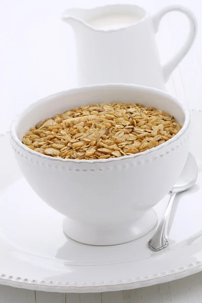 Delicious and healthy granola cereal — Stock Photo, Image