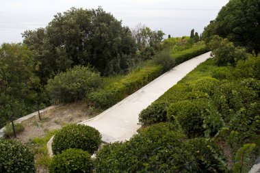 Kırım'da Park yolu