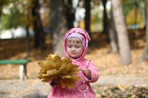 Kleines Mädchen im Herbstpark — Stockfoto