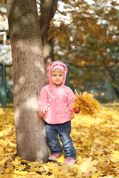 Sonbahar parkında küçük bir kız — Stok fotoğraf