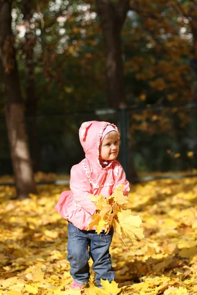 Klein meisje in de herfst park — Stockfoto