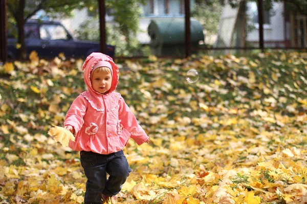 Klein meisje in de herfst park — Stockfoto