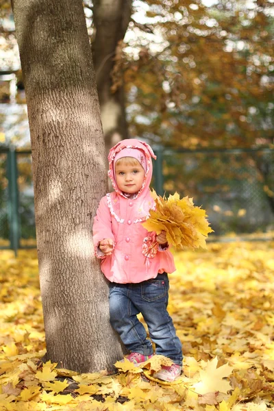 Sonbahar parkında küçük bir kız — Stok fotoğraf