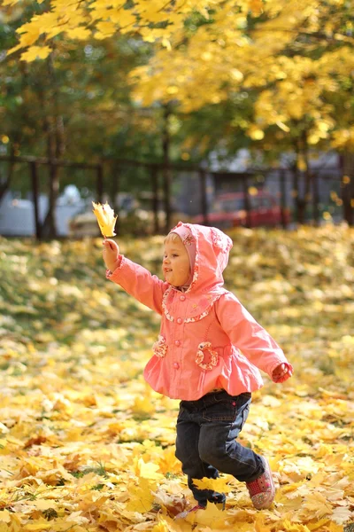 Маленькая девочка в осеннем парке — стоковое фото