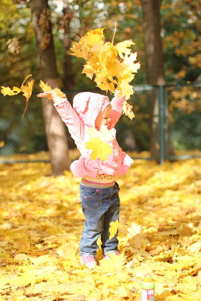 Sonbahar yaprakları ile küçük kız — Stok fotoğraf