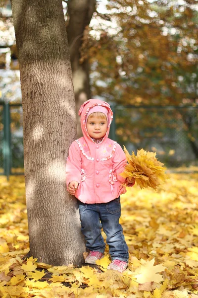 Sonbahar parkında küçük bir kız — Stok fotoğraf