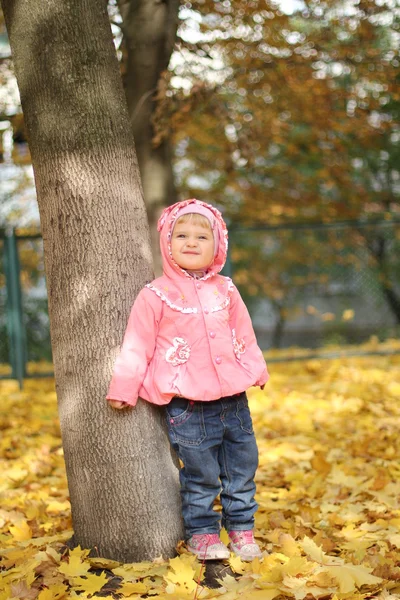 Holčička v podzimním parku — Stock fotografie