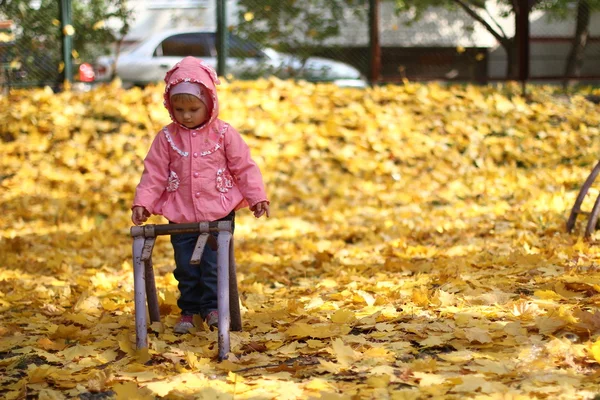 Holčička v podzimním parku — Stock fotografie