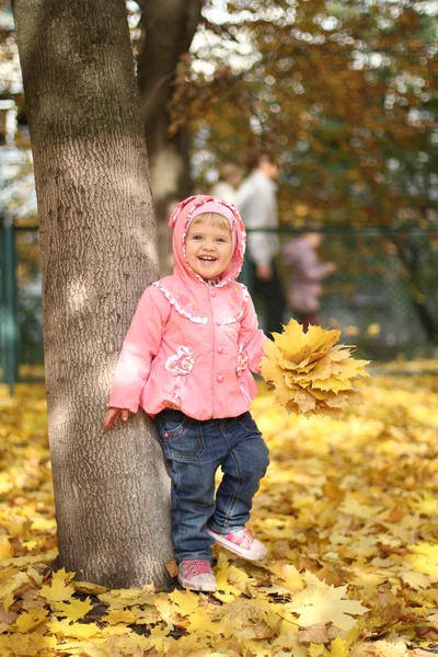 Niña en el parque de otoño —  Fotos de Stock