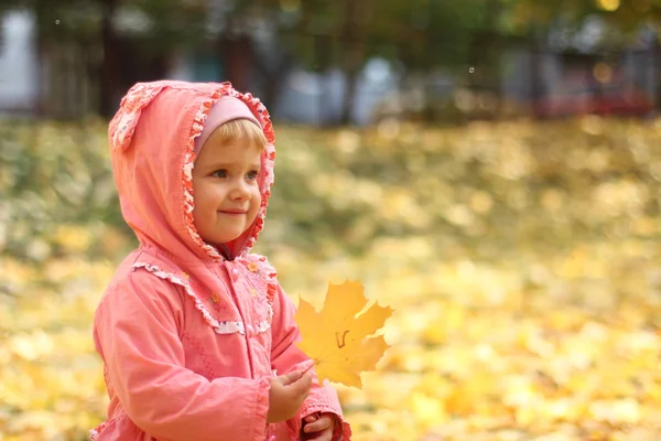 Klein meisje in de herfst park — Stockfoto