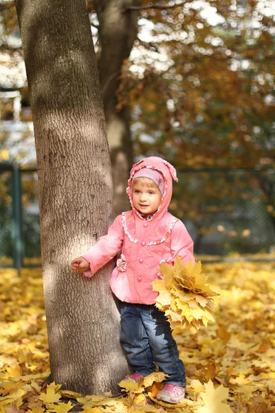 Sonbahar parkında küçük bir kız — Stok fotoğraf