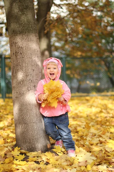 Little girl in autumn park — Stock Photo, Image