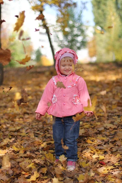 Little girl having fun with autumn leaves — Stock Photo, Image